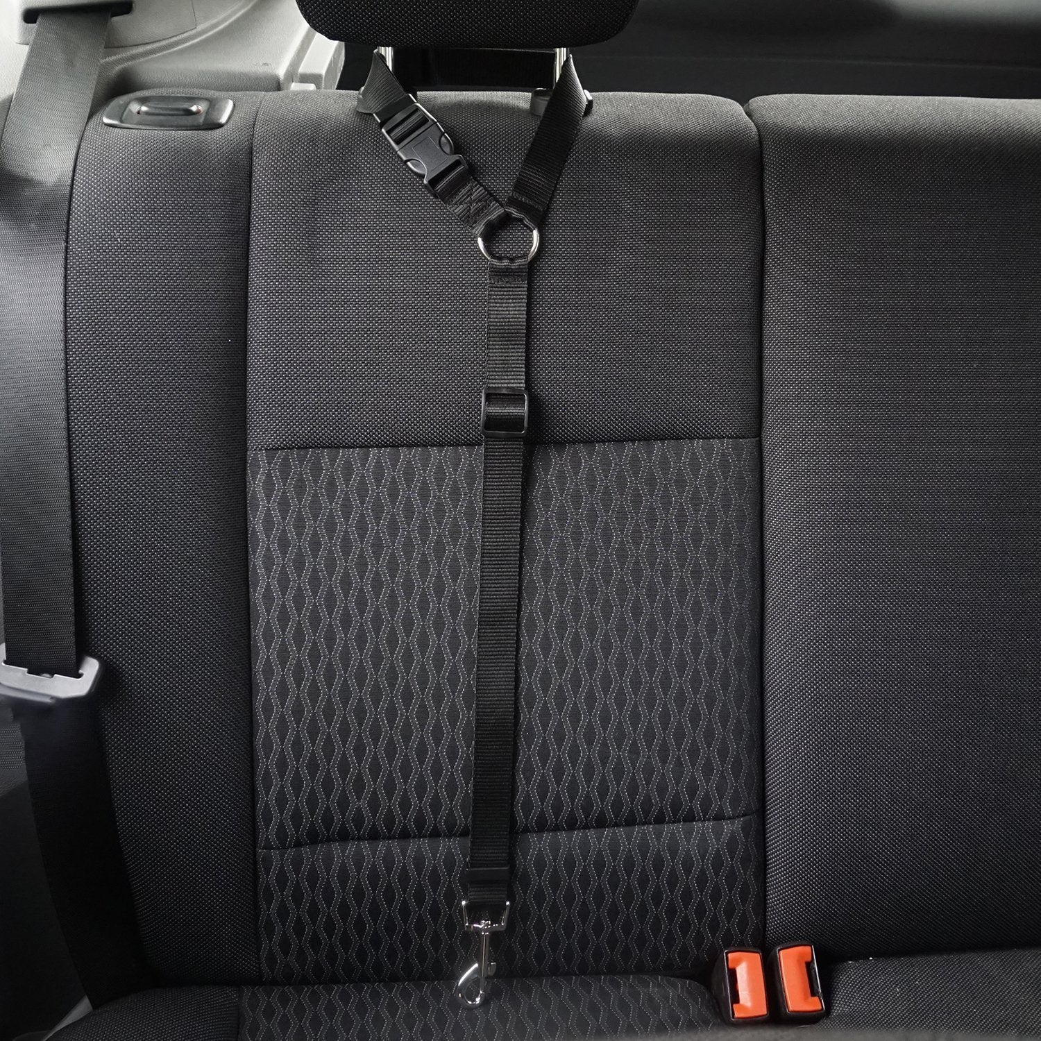 Portable Panda pet seat belt harness for dogs and cats

