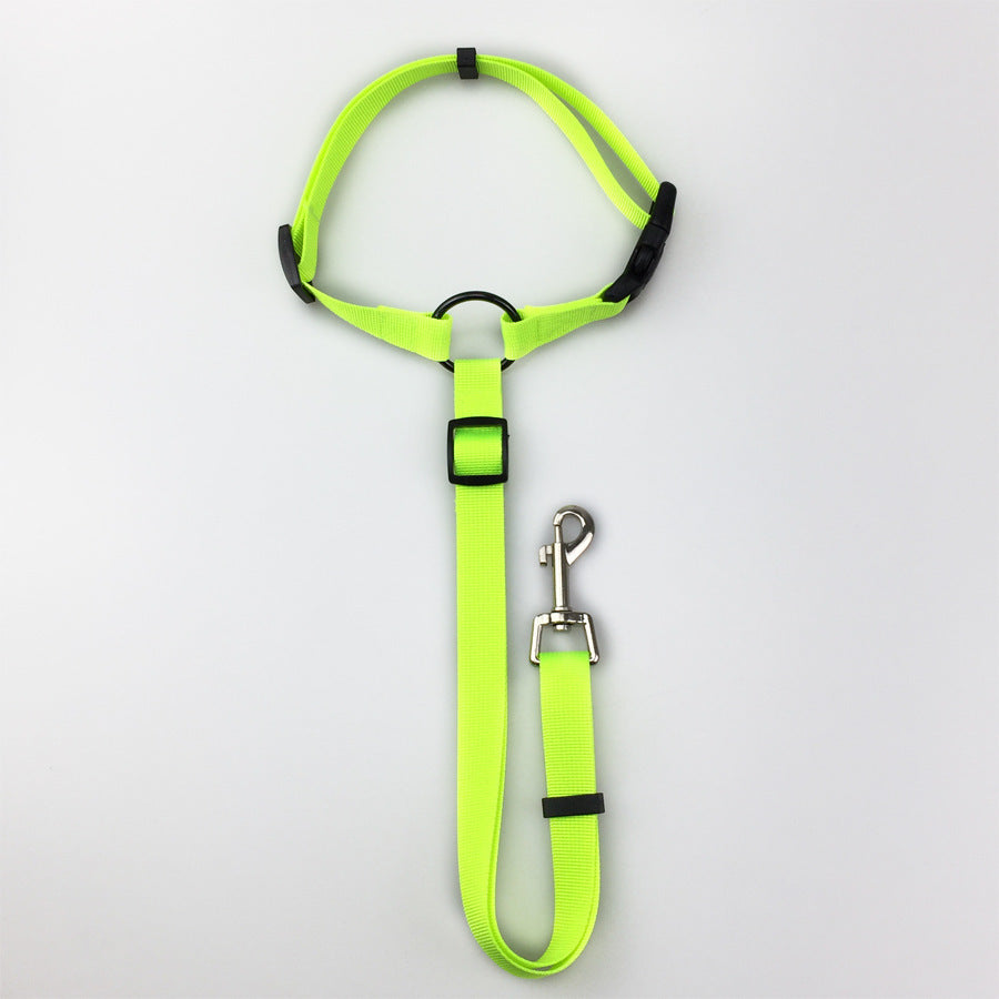 Dog safely secured in car using Portable Panda adjustable pet car safety leash