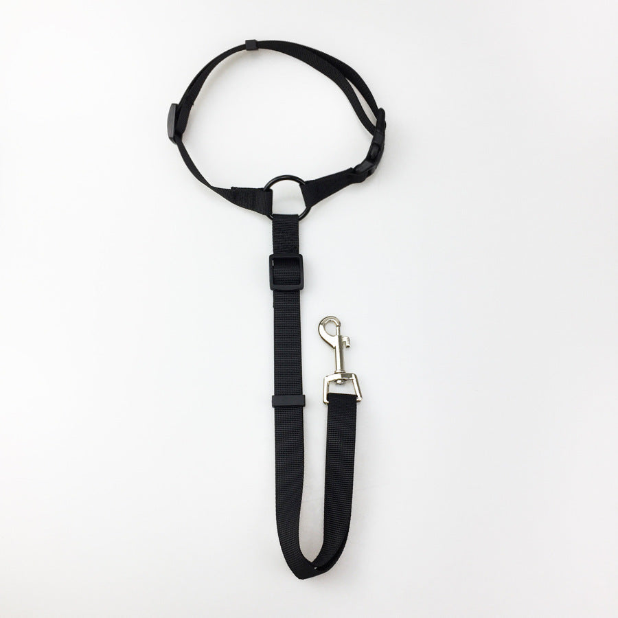 Dog safely secured in car using Portable Panda adjustable pet car safety leash