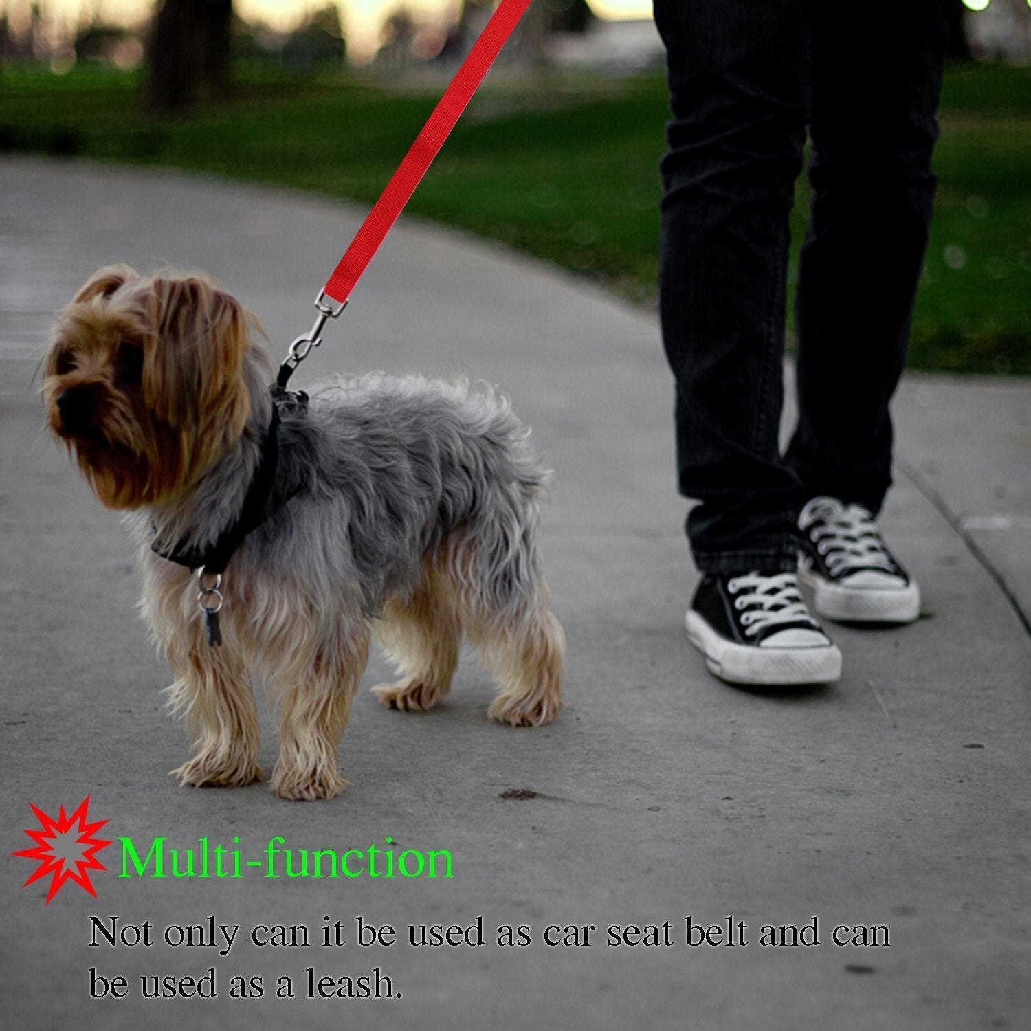 Dog safely secured in car using Portable Panda adjustable pet car safety leash